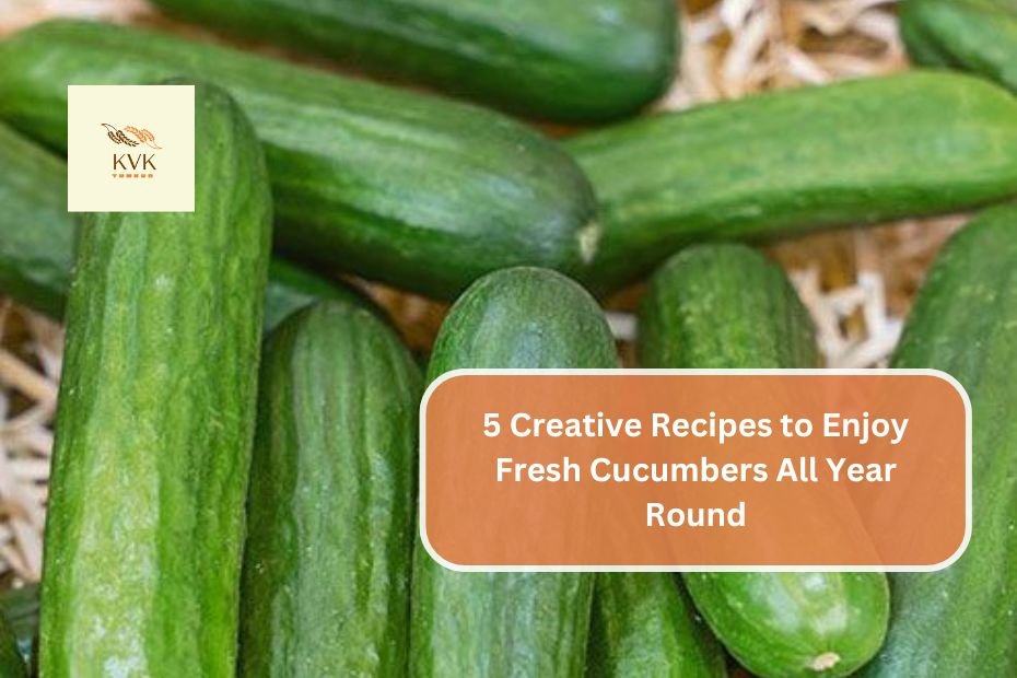 5 Creative Recipes to Enjoy Fresh Cucumbers All Year Round