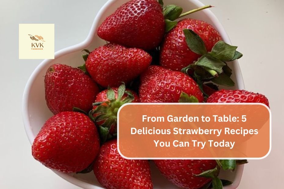 From Garden to Table: 5 Delicious Strawberry Recipes You Can Try Today