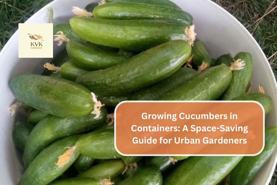 Growing Cucumbers in Containers: A Space-Saving Guide for Urban Gardeners