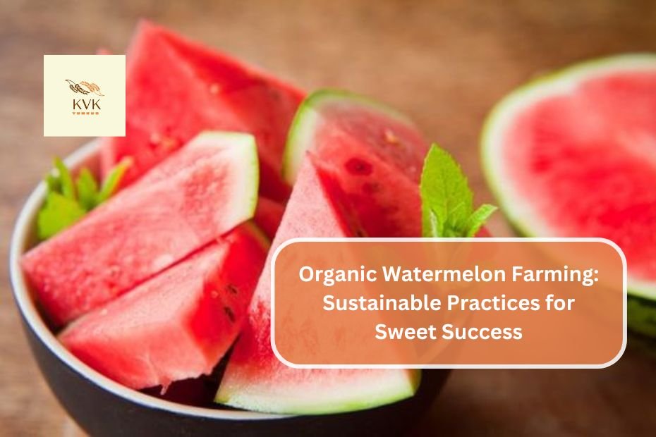 Organic Watermelon Farming: Sustainable Practices for Sweet Success