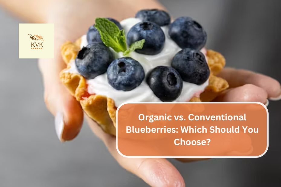 Organic vs. Conventional Blueberries: Which Should You Choose?