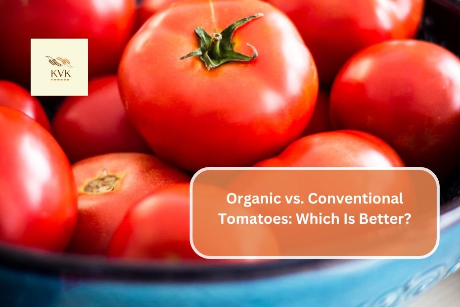 Organic vs. Conventional Tomatoes: Which Is Better?