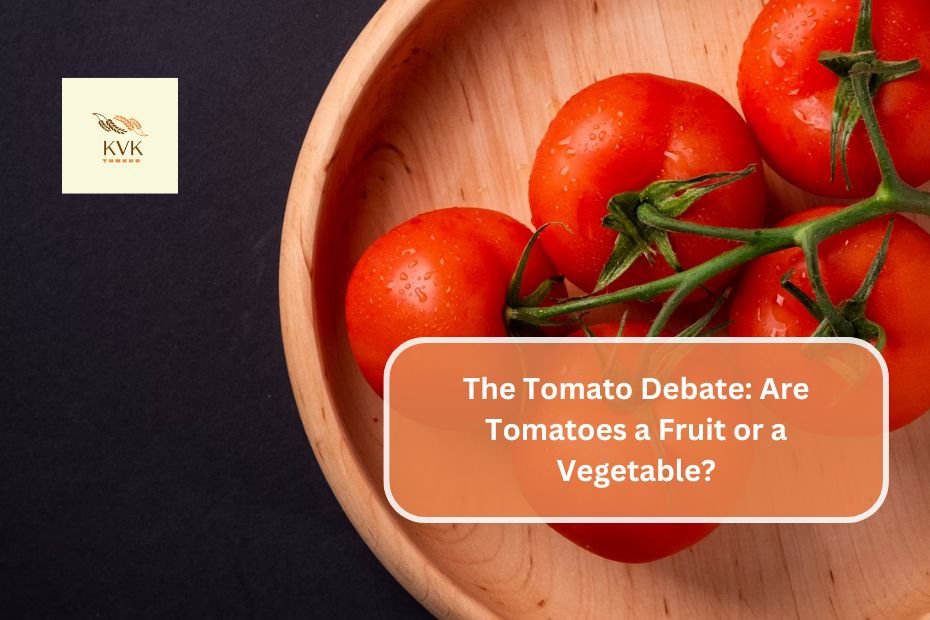 The Tomato Debate: Are Tomatoes a Fruit or a Vegetable?